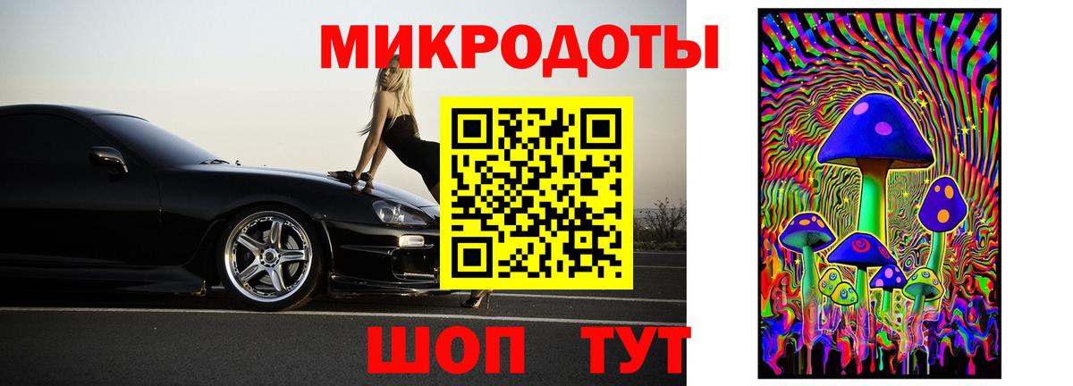 Галлюциногенные грибы Psilocybine cubensis Спасск-Дальний