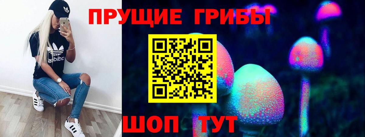 МЕФ Спасск-Дальний